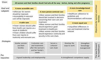 Systems thinking in practice when implementing a national policy program for the improvement of women's healthcare